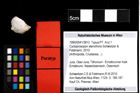 Foto (Objekt + Etiketten) von Cycloprosopon stenofrons (Schweitzer & Feldmann, 2010) 